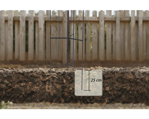 Metall-Pflanzenstütze im Boden mit einer Tiefe von 25 Zentimetern