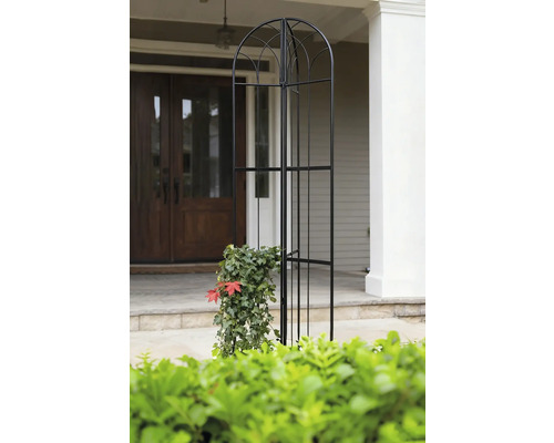 Metall-Rosenbogen mit Pflanzen vor einem Haus