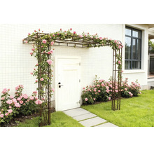 Eingangsbereich mit Rosenbogen und blühenden Rosensträuchern