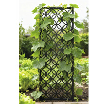 Dekorative Rankhilfe mit wachsenden Gurkenpflanzen im Garten.