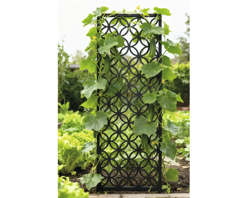 Dekorative Rankhilfe mit wachsenden Gurkenpflanzen im Garten.