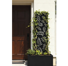 Dekorative Gartenszene mit Pflanzkasten, Rankgitter und Pflanzen vor einer Haustür