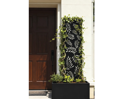 Dekorative Gartenszene mit Pflanzkasten, Rankgitter und Pflanzen vor einer Haustür