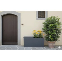 Szene mit einem Blumenkasten, bepflanzt mit gelben Blumen, und einem Topf mit einer Pflanze.