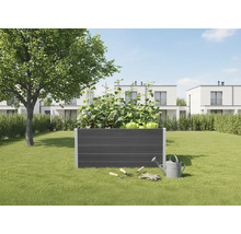 Hochbeet im Garten mit Gemüse, Gartengeräten und Gießkanne