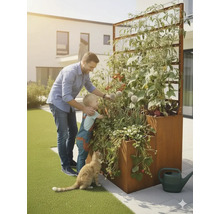 Hochbeet mit Spalier, bepflanzt mit Gemüse, mit Mann, Kind und Katze im Garten.