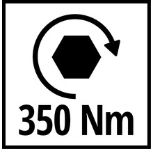 Drehmomentsymbol 350 Newtonmeter