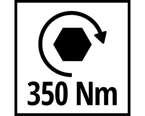 Drehmomentsymbol 350 Newtonmeter