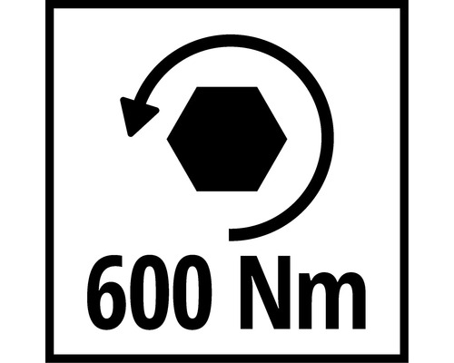Drehmoment bis 600 Newtonmeter