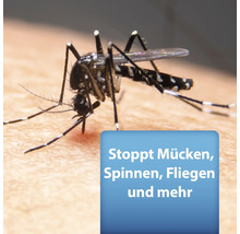 Mücke auf der Hautoberfläche