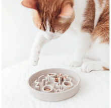 Katze betrachtet Futternapf mit Futter