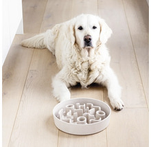 Heller Hund liegt vor einem interaktiven Fressnapf zur Fütterung