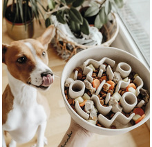 Hund mit Zunge heraus vor einem Futternapf mit Hindernissen für langsames Fressen