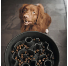 Napf mit Labyrinthstruktur und Hundefutter vor einem Hund