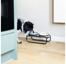 Ein Hund frisst aus einem Futternapf auf einem Futterständer