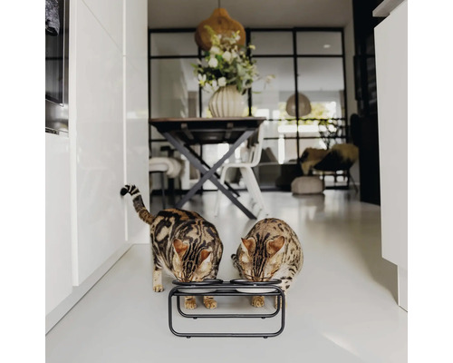 Zwei Katzen fressen aus einem Doppel-Fressnapf in einem hellen Zimmer.