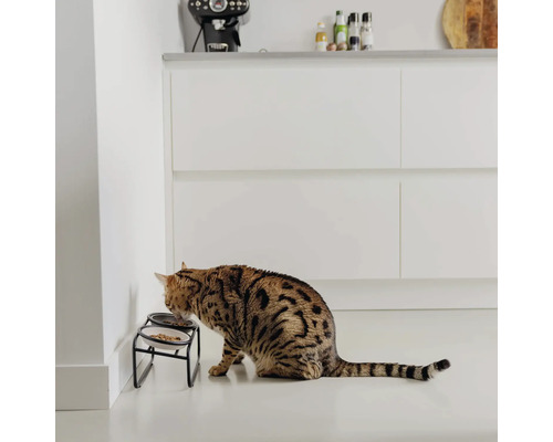 Katze frisst aus erhöhtem Futternapf in einer modernen Küche.