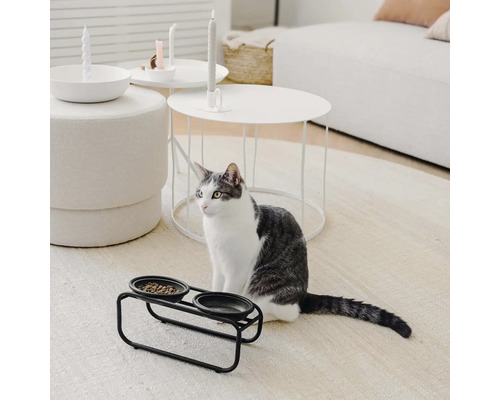 Katze sitzt neben einem schwarzen Doppel-Fressnapf auf einem Teppich