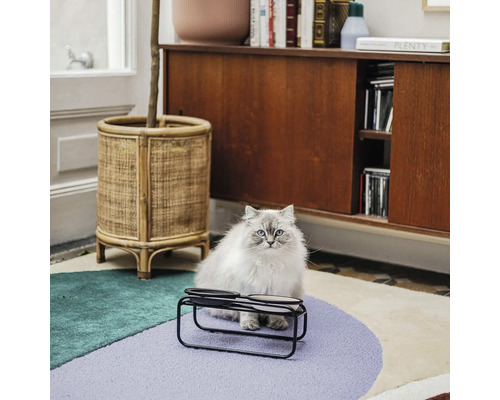 Eine Katze sitzt vor einem Doppel-Fressnapf auf einem farbenfrohen Teppich.