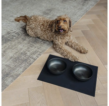 Hund liegt neben zwei Futternäpfen auf einer Unterlage