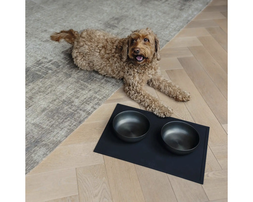 Hund liegt neben zwei Futternäpfen auf einer Unterlage