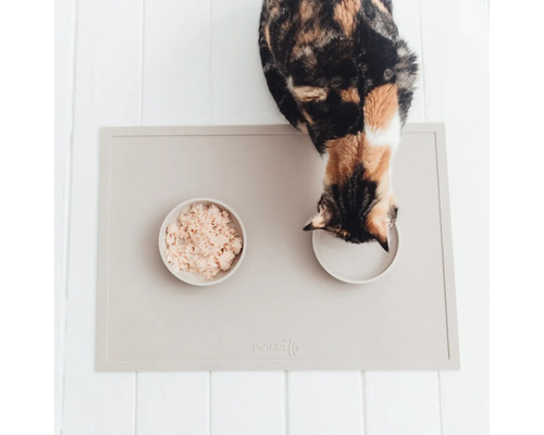 Katze frisst von einer Futtermatte mit Futternapf und Wassernapf