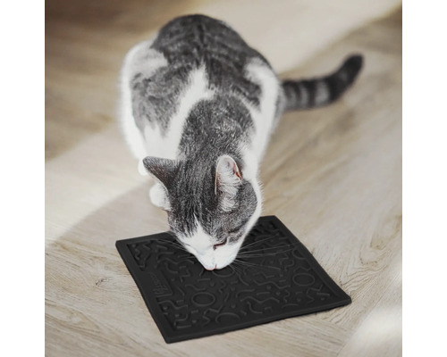 Graue Katze untersucht eine schwarze Fressnapfunterlage