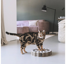 Katze auf einem Kratzbaum aus Wellpappe im Wohnzimmer