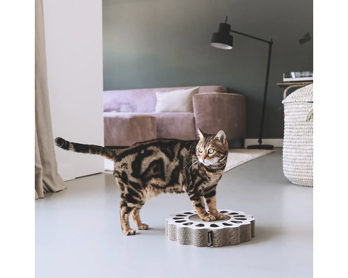 Katze auf einem Kratzbaum aus Wellpappe im Wohnzimmer