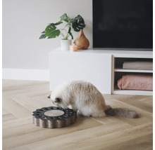 Katze an einem Kratzbrett in Blumenform
