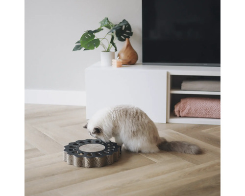 Katze an einem Kratzbrett in Blumenform