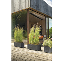 Dekorative Pflanzkästen mit Bepflanzung vor einer modernen Hausfassade.