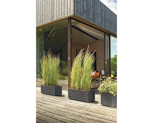 Dekorative Pflanzkästen mit Bepflanzung vor einer modernen Hausfassade.