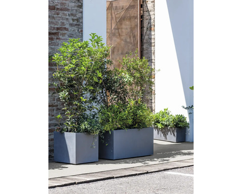 Rechteckige Pflanzkübel aus Beton mit Bepflanzung im Außenbereich