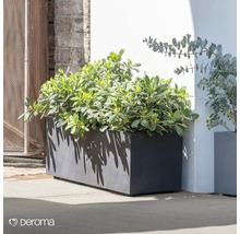 Rechteckiger Pflanzkasten mit Bepflanzung im Außenbereich