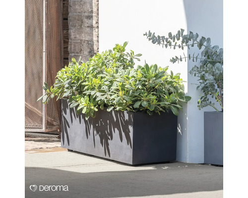 Rechteckiger Pflanzkasten mit Bepflanzung im Außenbereich