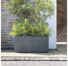 Rechteckiger Pflanzkasten aus Fiberglas mit Bepflanzung vor einer Ziegelwand