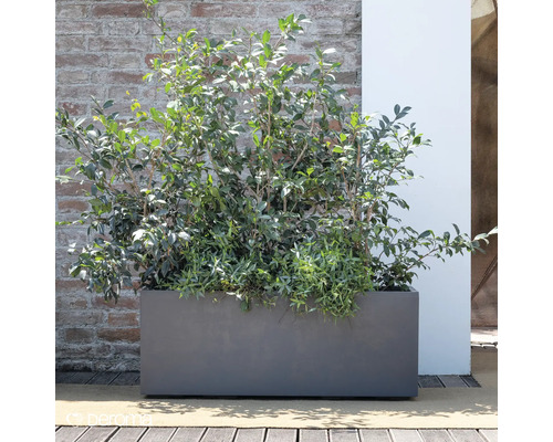 Rechteckiger Pflanzkasten mit Bepflanzung vor einer Ziegelwand