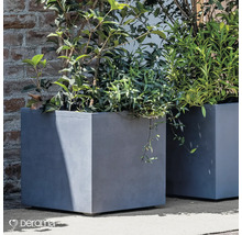 Zwei graue, quadratische Pflanzgefäße mit Pflanzen