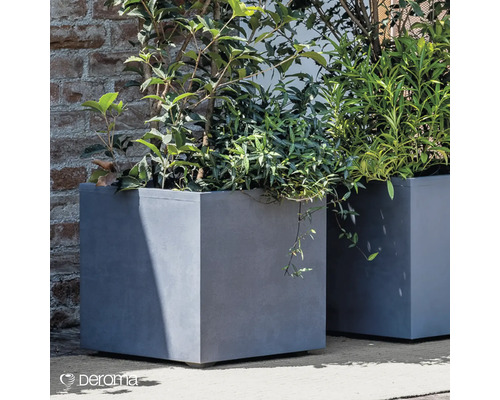 Zwei graue, quadratische Pflanzgefäße mit Pflanzen