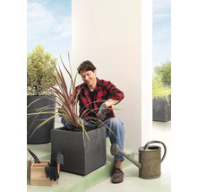 Mann pflanzt Pflanze in einen Pflanzkasten im Freien mit Gartengeräten und Gießkanne