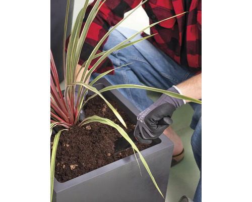 Eine Person pflanzt eine Pflanze in einen Pflanzkasten mit Erde.