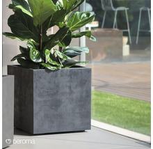 Pflanze im quadratischen Pflanzkübel von Deroma