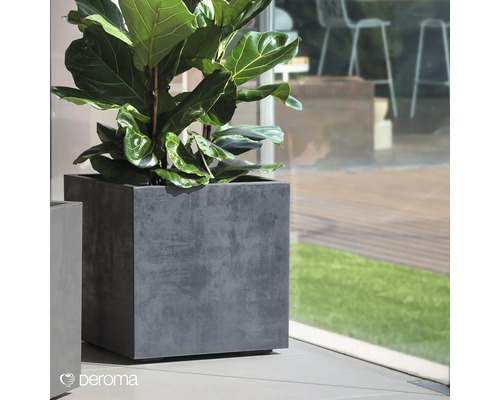 Pflanze im quadratischen Pflanzkübel von Deroma