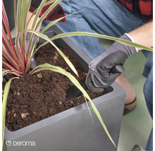 Eine Person pflanzt eine Pflanze in einen Pflanzkasten mit Erde.