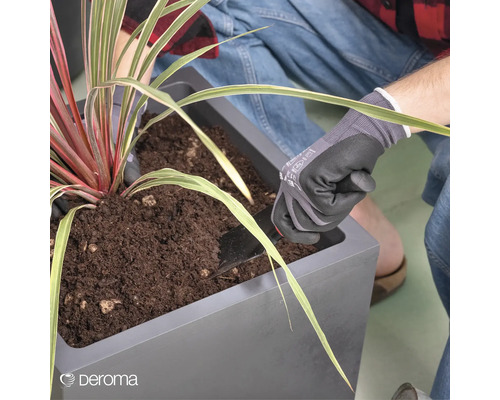 Eine Person pflanzt eine Pflanze in einen Pflanzkasten mit Erde.
