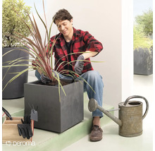 Mann pflanzt Pflanze in einen grauen quadratischen Pflanzkasten. Gartengeräte und Gießkanne sind ebenfalls abgebildet.