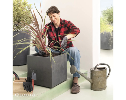 Mann pflanzt Pflanze in einen grauen quadratischen Pflanzkasten. Gartengeräte und Gießkanne sind ebenfalls abgebildet.