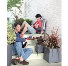 Szene mit zwei Personen auf einer Treppe mit Pflanzkästen und Pflanzen.