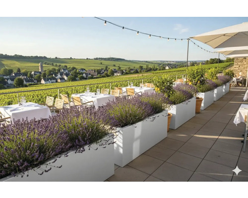 Terrasse mit Tisch, Stühlen, Sonnenschirm und Pflanzenkübeln mit Lavendel